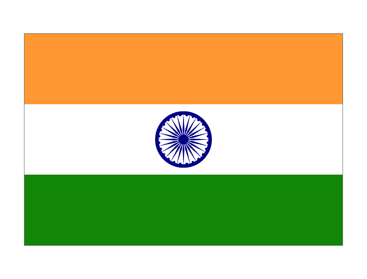 THE 9TH INDIA HOMELIFE EXPO印度国旗