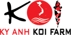 第六届HOMELIFE越南国际家居礼品展买家